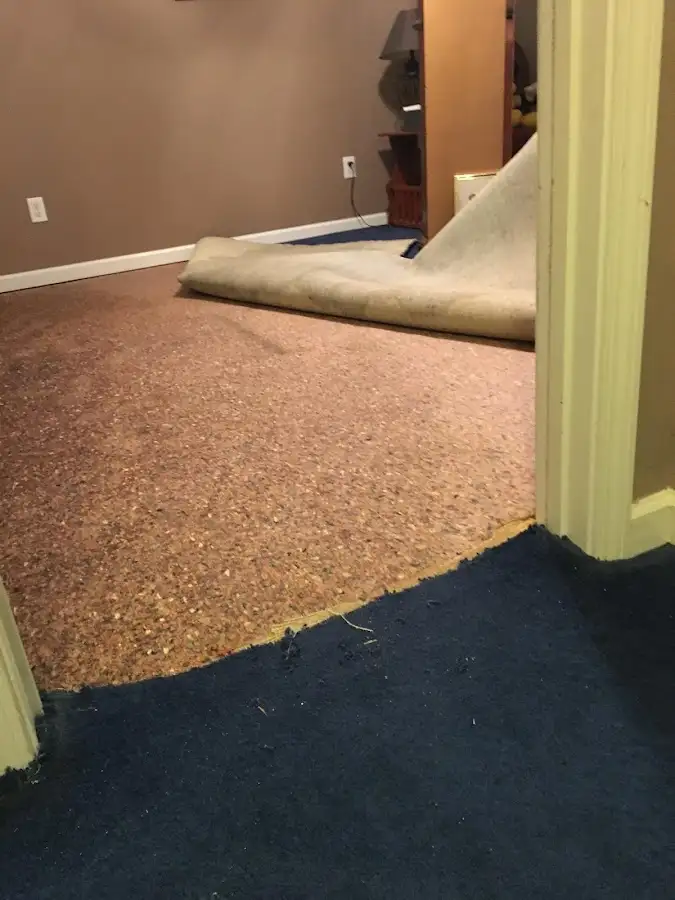 Carpet pad removal revealing water damage during Drying & Dehumidification in Souderton